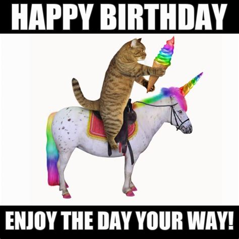 funny hilarious happy birthday meme|happy birthday wonderful person meme.